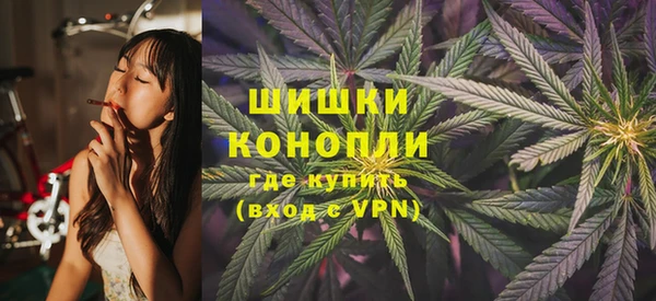 2c-b Вяземский