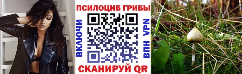 Купить где  Лениногорск  Галлюциногенные грибы Magic Shrooms 